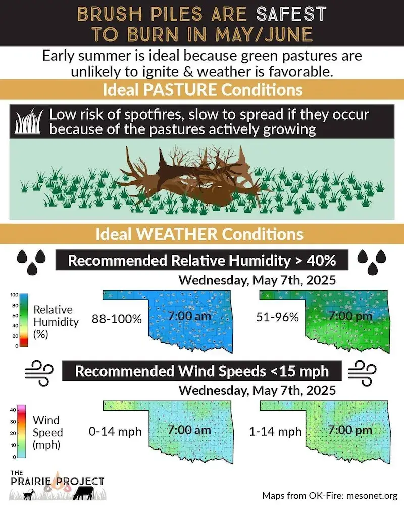 Brush Piles are Safest to Burn in May/June