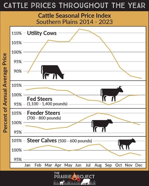 Cattle Prices