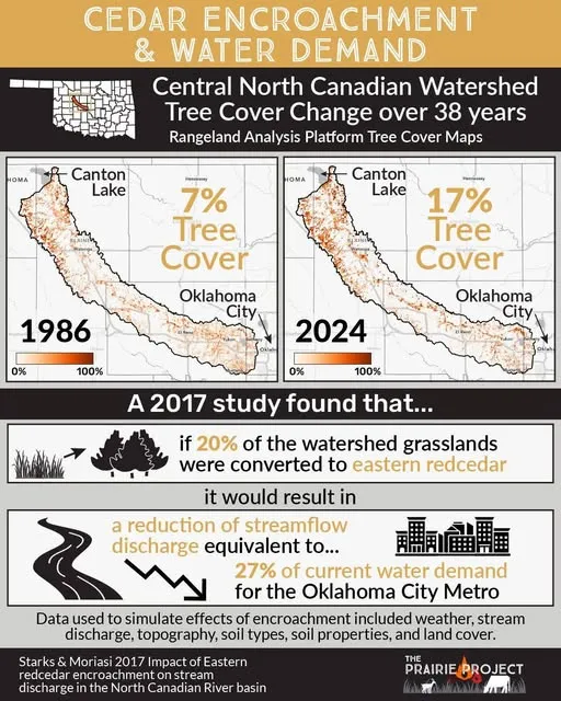 Cedar Encroachment and Water Demand