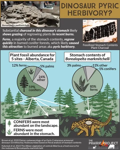 Dinosaur Pyric Herbivory