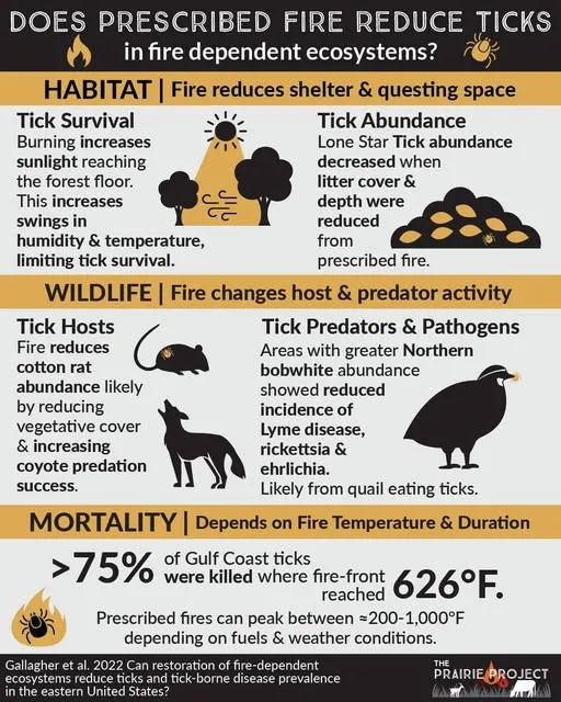Does Prescribed Fire Reduce Ticks in Fire Dependent Ecosystems?