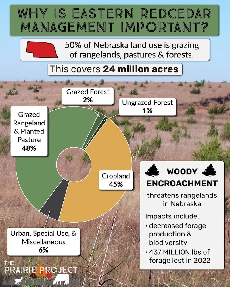 Eastern Redcedar Management in Nebraska