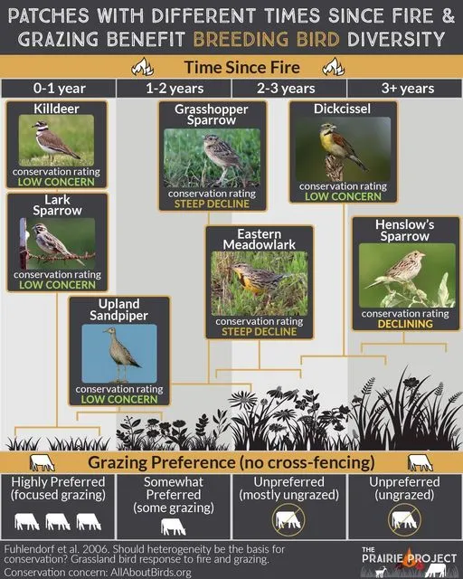 Fire and Grazing (Breeding Bird Use)