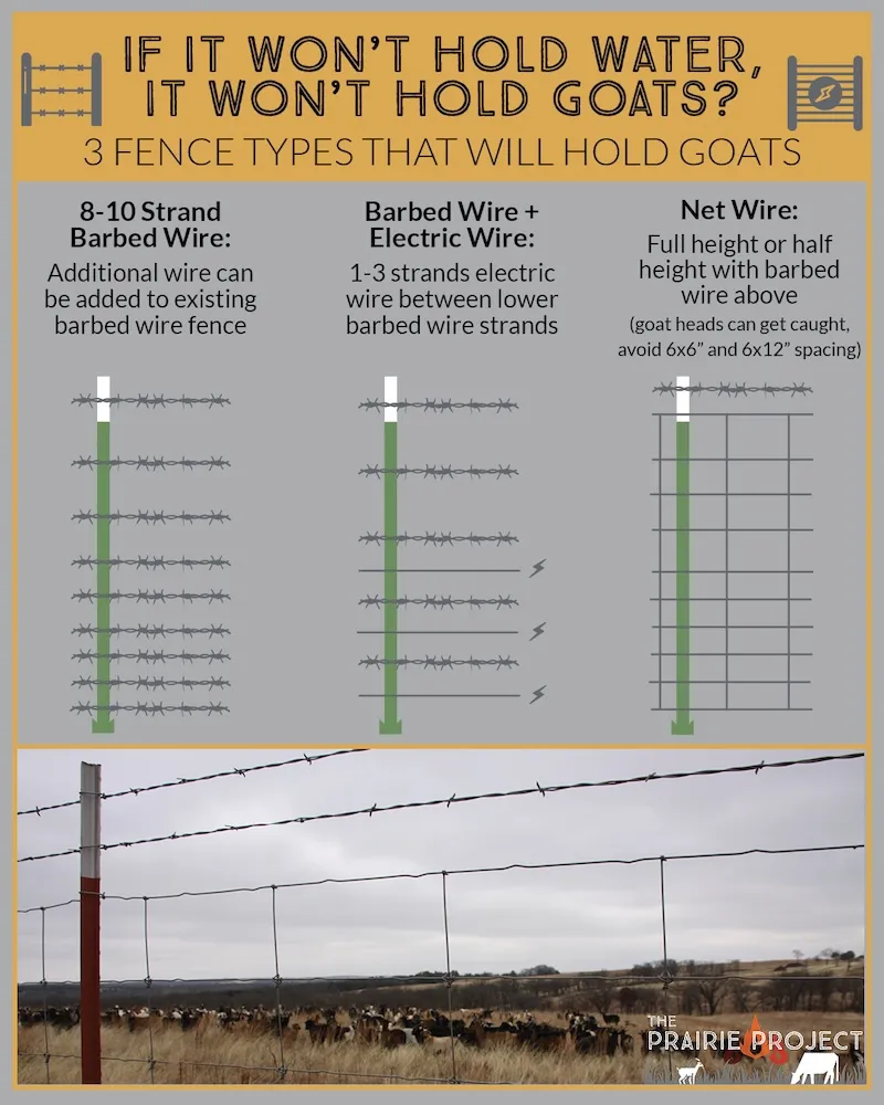 Goat Fence