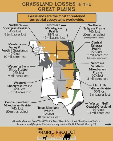 Grassland Loss in the Great Plains 1