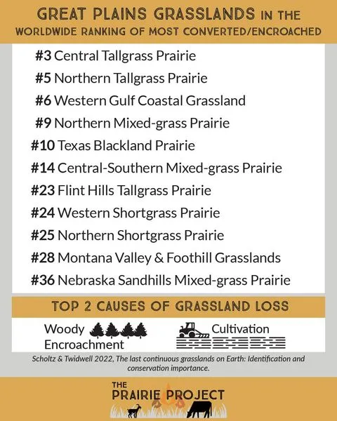 Grassland Loss in the Great Plains 2