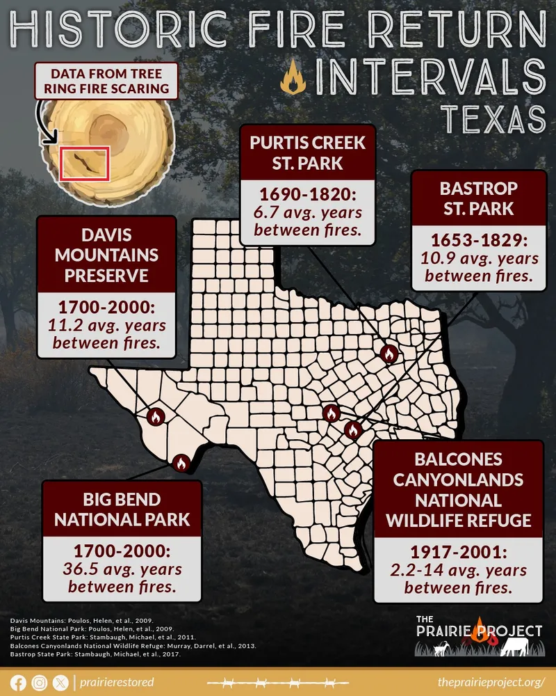 Historic Fire Return Interval (TX)