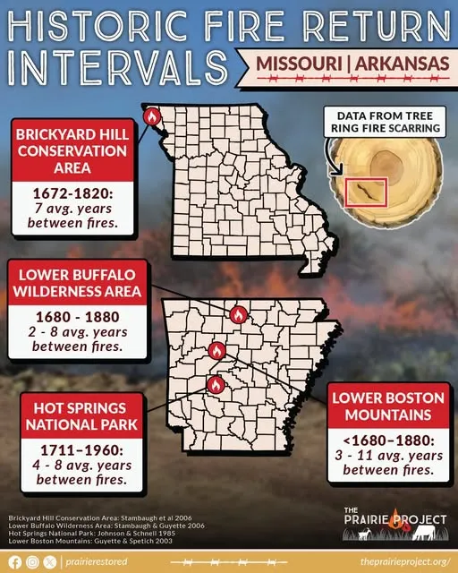 Historic Fire Return Intervals (MO/AR)