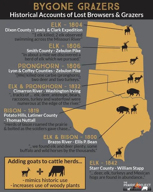 Historical Grazers of the Great Plains