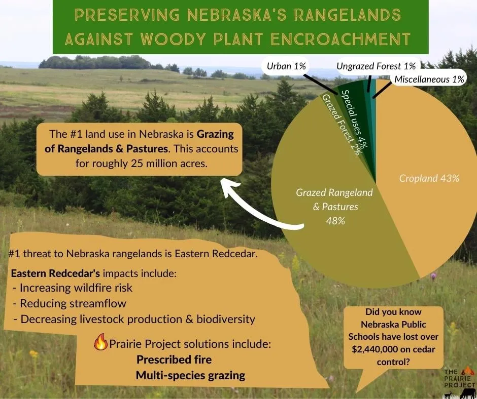 Land Use and Woody Encroachment (NE)