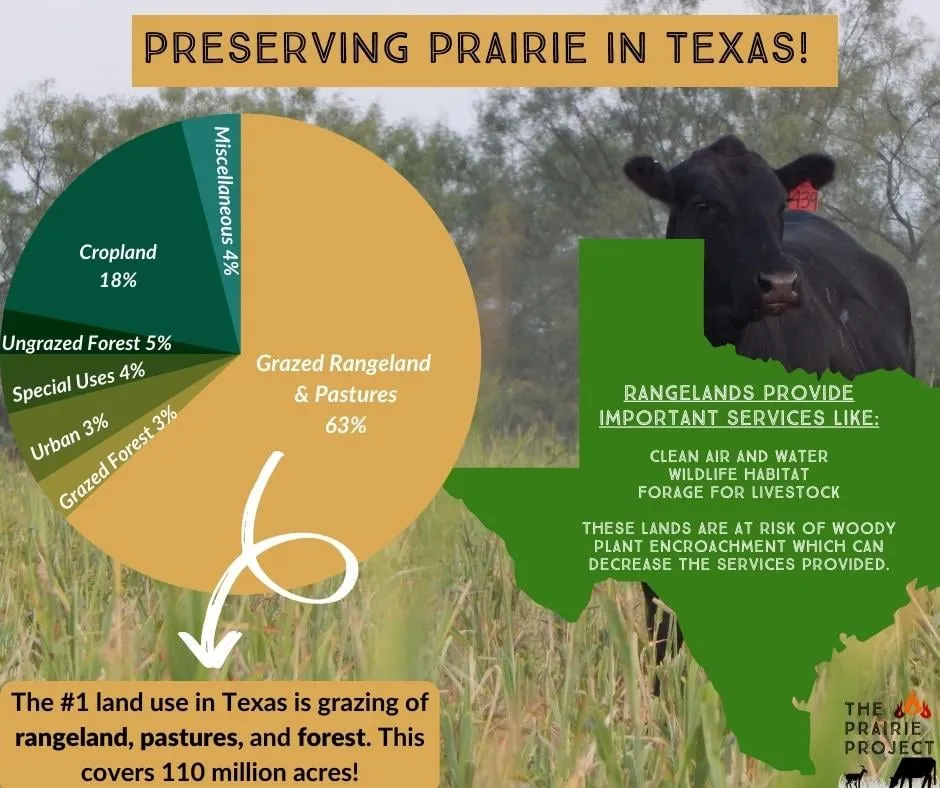 Land Use and Woody Encroachment (TX)