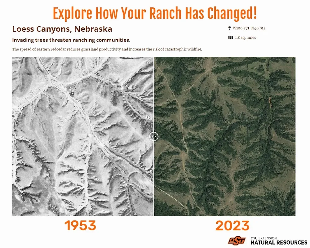 Loess Canyon (Landscape Explorer)