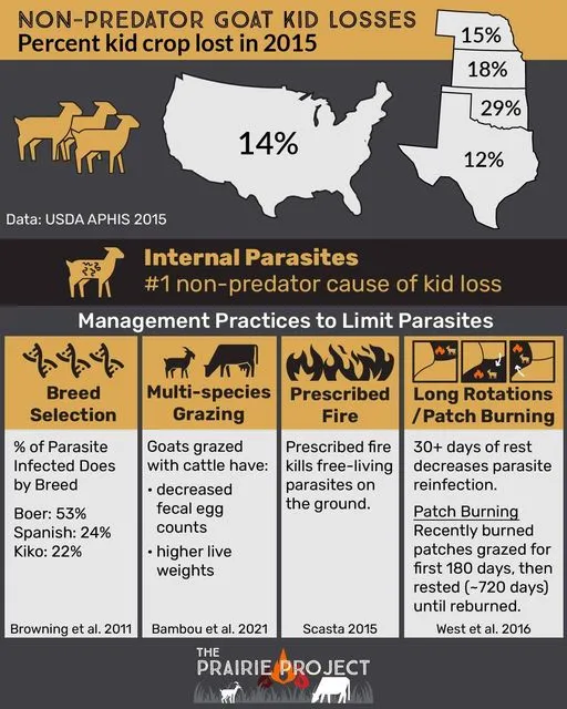 Non-Predator Kid Goat Losses