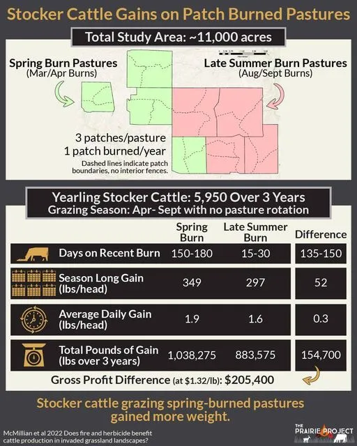 Patch Burn and Stocker Gains