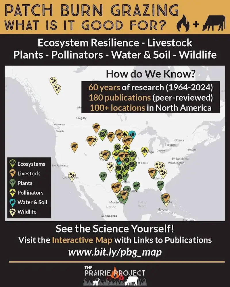 Patch Burn Grazing, What is it Good For?