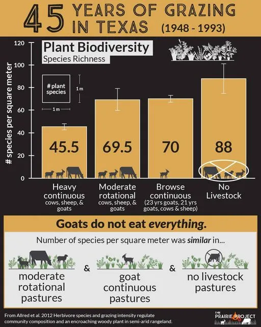 Plant Biodiversity and Grazing