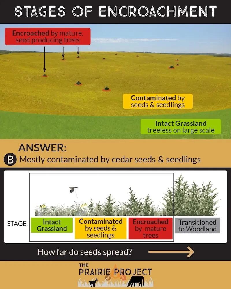 Stages of Encroachment