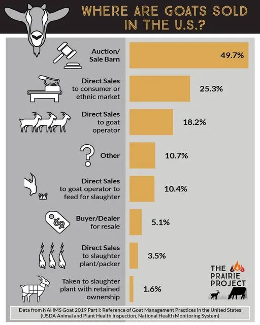 Where are Goats Sold in the US?