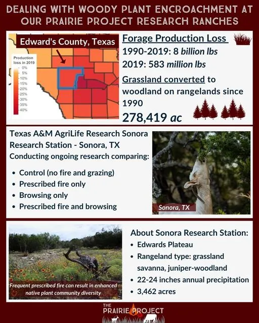 Woody Encroachment (Edwards CO, TX)