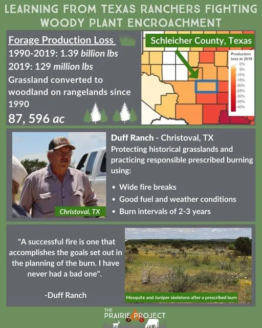 Woody Encroachment (Schleicher CO, TX)