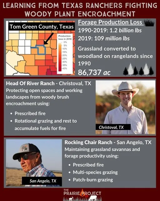 Woody Encroachment (Tom Green CO, TX)