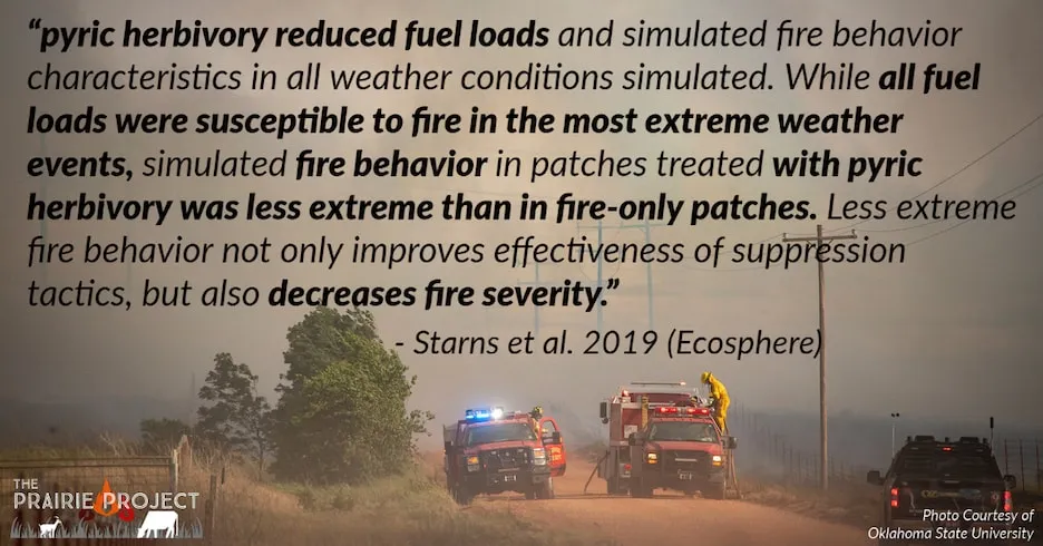 Patch burn grazing effects on wildfire