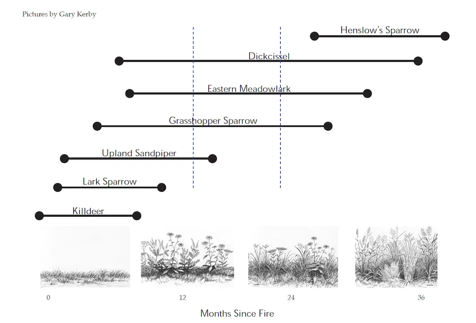 Patch burn grazing effects on wildlife