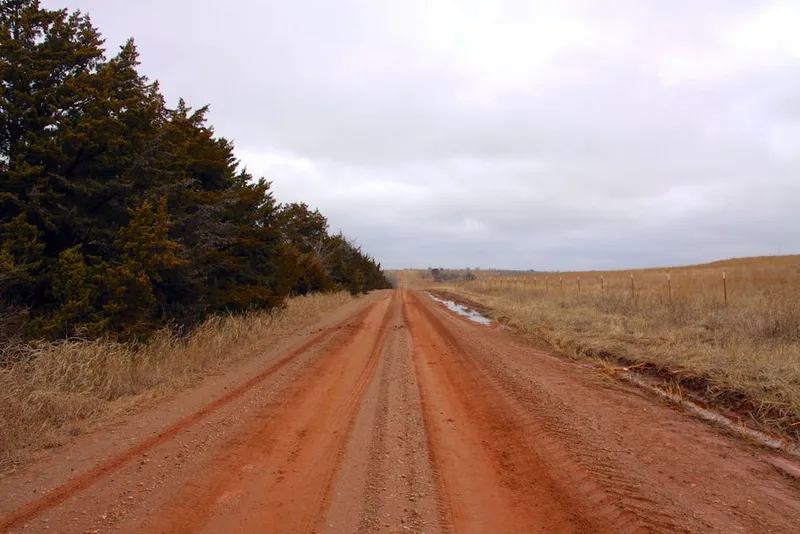 Human-facilitated spread