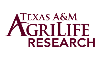 TAMU research logo